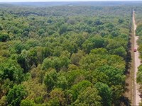 Owner Financed 10 Acres : Macks Creek : Camden County : Missouri