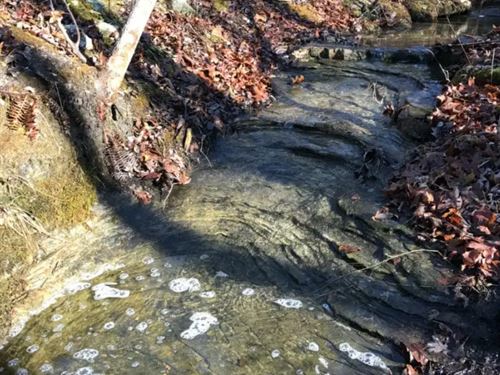 Owner Financed Land in The Ozarks : Ava : Douglas County : Missouri