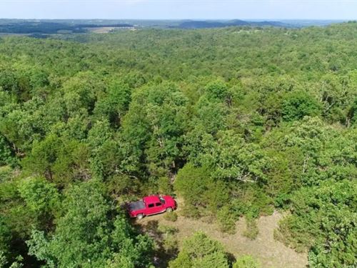 Owner Financed Land in MO : Gainesville : Ozark County : Missouri