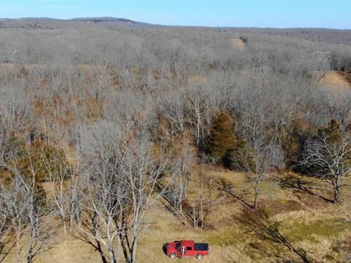 Owner Financed Land In MO : Ava : Douglas County : Missouri