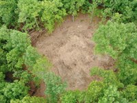 Owner Financed Land In Arkansas : Viola : Fulton County : Arkansas