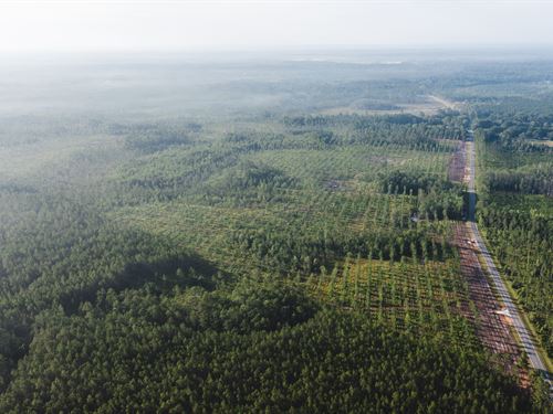 Lot 2, Stave Branch, Hilliard : Hilliard : Nassau County : Florida