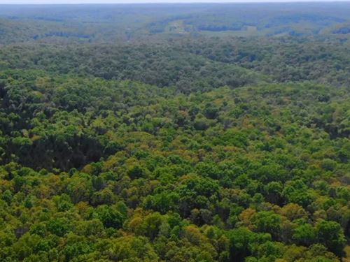 Owner Financed 10 Acres : Macks Creek : Camden County : Missouri