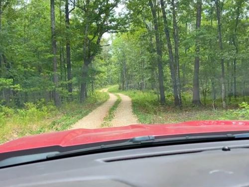 Owner Financed Land in MO : Ava : Douglas County : Missouri