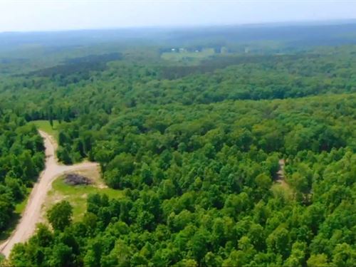 Owner Financed Land In MO : West Plains : Howell County : Missouri