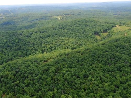 Owner Financed Land In MO : Ava : Douglas County : Missouri