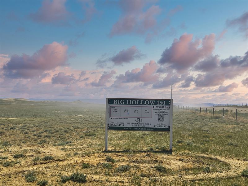 Big Hollow Building Lot 3 : Laramie : Albany County : Wyoming