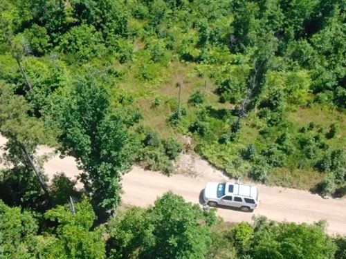 Owner Financed Ozark Land : Eminence : Shannon County : Missouri