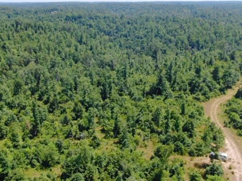 Owner Financed Rec Land : Eminence : Shannon County : Missouri