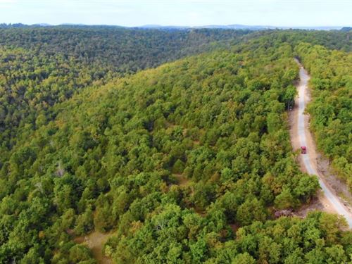 Owner Financed Ozarks Land : Gainesville : Ozark County : Missouri