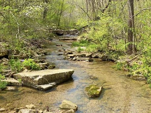 Owner Financed Land In The Ozarks : Rolla : Phelps County : Missouri