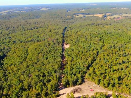 Owner Financed Land In MO : West Plains : Howell County : Missouri