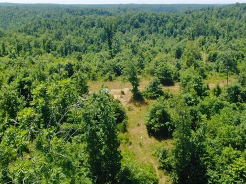 Owner Financed Rec Land : Eminence : Shannon County : Missouri