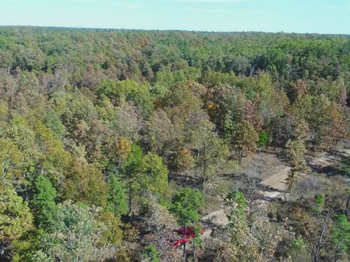 Owner Financed Rec Land : Eminence : Shannon County : Missouri