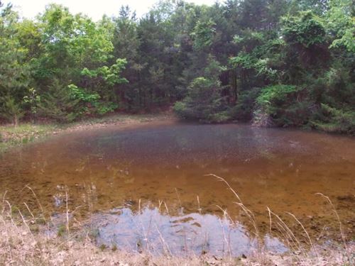 Owner Financed Land in MO : West Plains : Howell County : Missouri