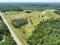 Blueberry Farm For Sale in Woodbine : Woodbine : Camden County : Georgia