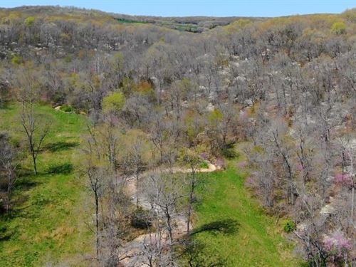 Owner Financed Acreage in MO : Rolla : Phelps County : Missouri