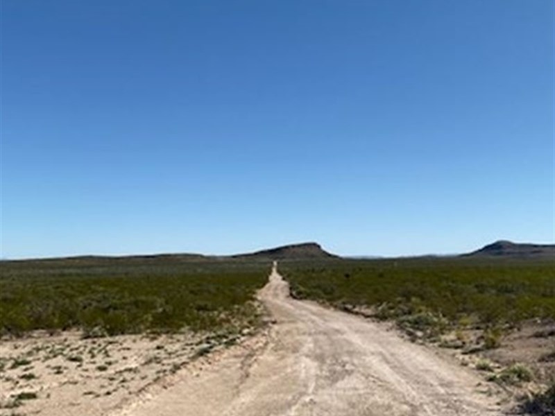 20 Ac No Zoning $0 Down : Sierra Blanca : Hudspeth County : Texas