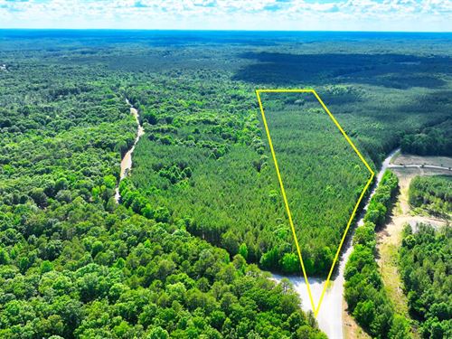 22 Acres Timber Land, Perc Tested : Henderson : Chester County : Tennessee