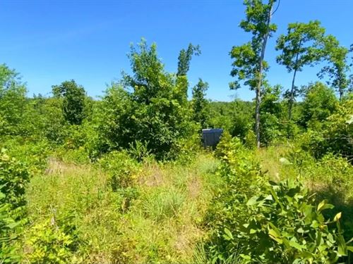 Owner Financed Acreage in MO : Eminence : Shannon County : Missouri