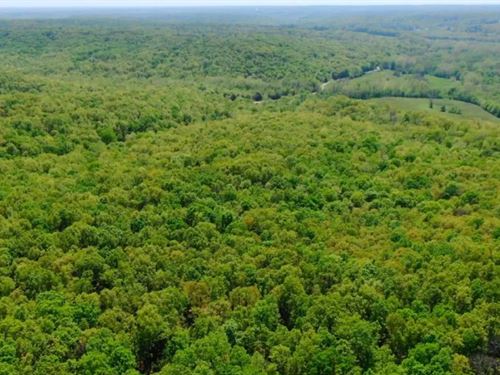 Owner Financed Acreage in MO : Camdenton : Hickory County : Missouri