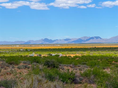 Spacious 39 Ac, Mtn Range Views : Willcox : Cochise County : Arizona