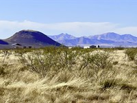 Spacious 39 Ac, Mtn Range Views : Willcox : Cochise County : Arizona