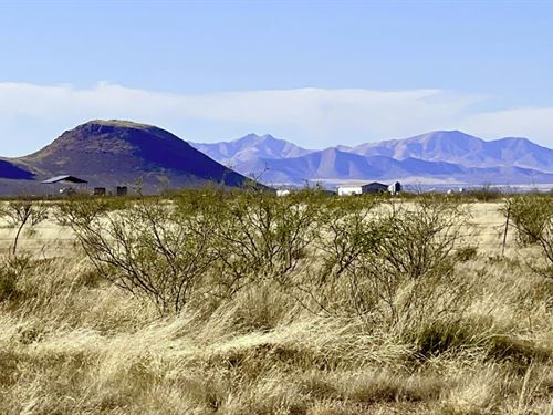 Spacious 39 Ac, Mtn Range Views : Willcox : Cochise County : Arizona