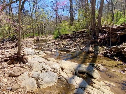 Owner Financed Acreage in MO : Rolla : Phelps County : Missouri