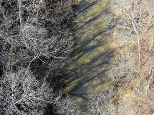 Owner Financed Acreage in MO : Ava : Douglas County : Missouri