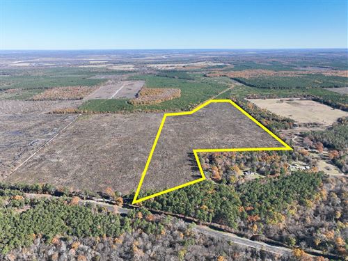 113 Acres, Hwy 37, T-6 Kiskadee : Albion : Red River County : Texas