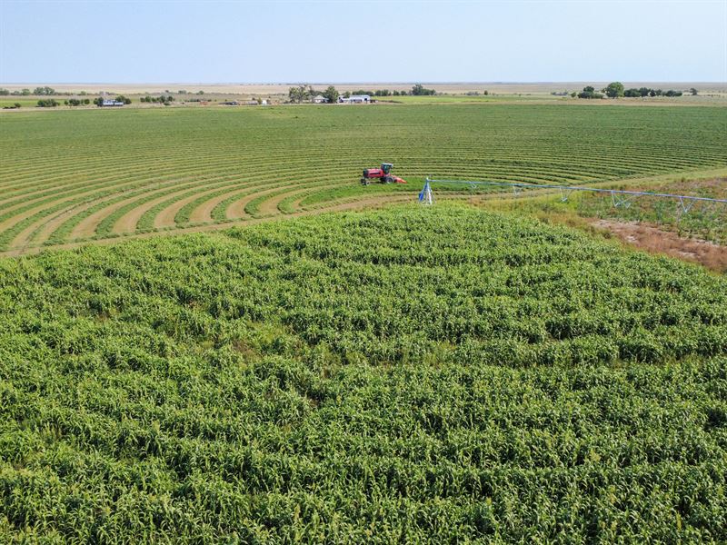 160.76 Acre Irrigated Farm for Sale : Cheraw : Otero County : Colorado