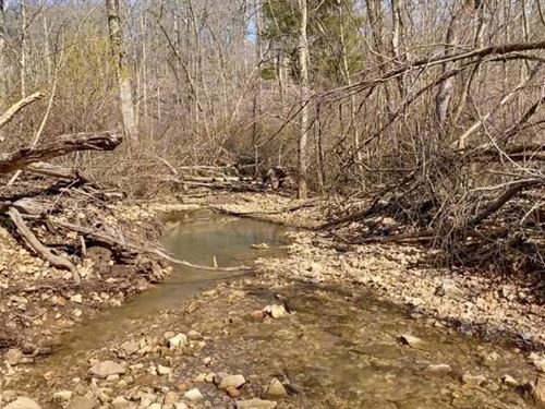 Owner Financed Land in MO : Mansfield : Wright County : Missouri