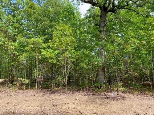 Owner Financed Land In MO : Lebanon : Laclede County : Missouri