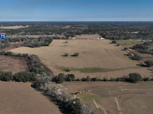 Columbia County Development Land : Fort White : Columbia County : Florida