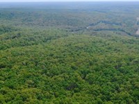 Owner Financed Land in MO : Camdenton : Hickory County : Missouri