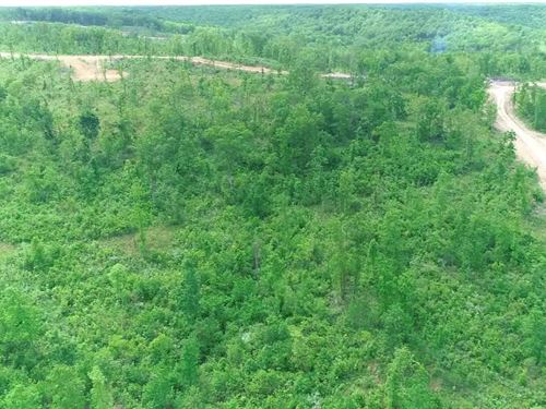 Owner Financed Land in MO : Mansfield : Wright County : Missouri