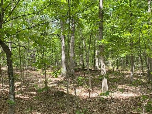 Owner Financed Acreage in MO : Salem : Dent County : Missouri