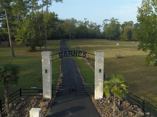 Barnes Ranch : Montgomery : Texas