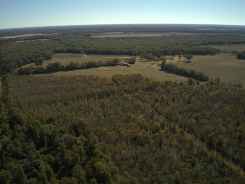 Mercer Ranch South, Lodge And 920 : Mangham : Richland Parish : Louisiana