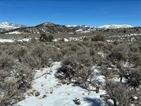 Mt. Blanca & Mt. Lindsey in Sight : Fort Garland : Costilla County : Colorado