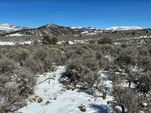 Mt. Blanca & Mt. Lindsey in Sight : Fort Garland : Costilla County : Colorado