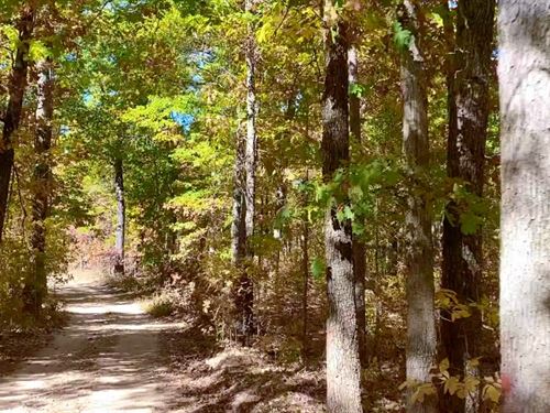 Owner Financed Land in MO : Eminence : Shannon County : Missouri