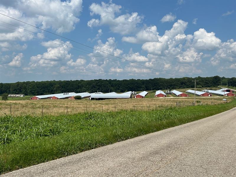 10 House Poultry Farm & Home : Woodland : Randolph County : Alabama