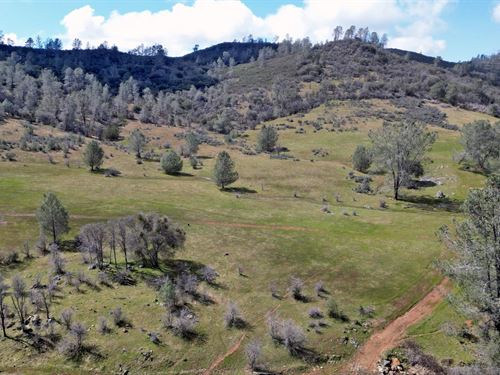 Blacks Creek Ranch : Coulterville : Tuolumne County : California