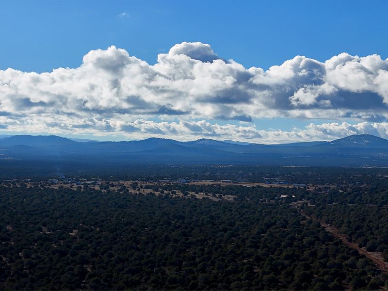 2 Left, 3 Sold in White Mountains : Show Low : Navajo County : Arizona
