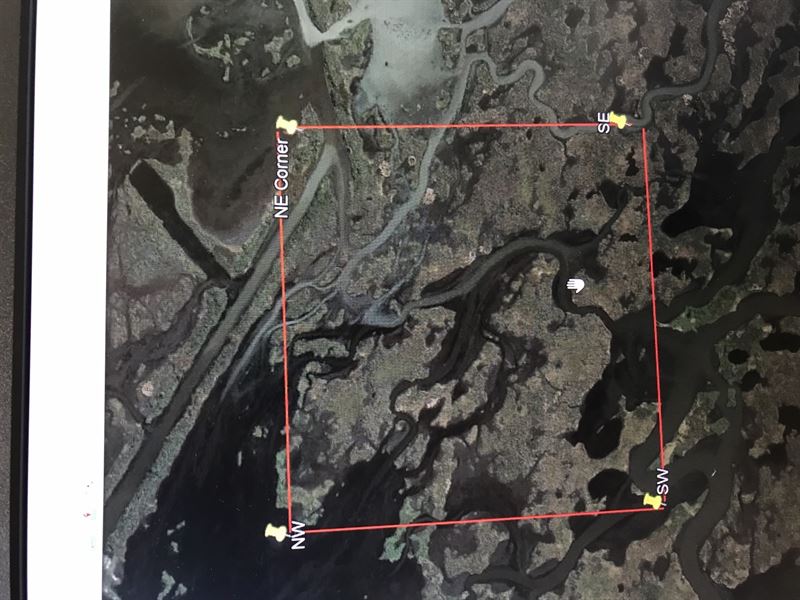 La, Plaquemines 160 Acres : Delacroix : Plaquemines Parish : Louisiana