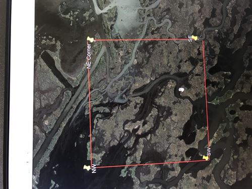 La, Plaquemines 160 Acres : Delacroix : Plaquemines Parish : Louisiana