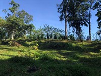 Peralta Turrialba : Turrialba : Costa Rica