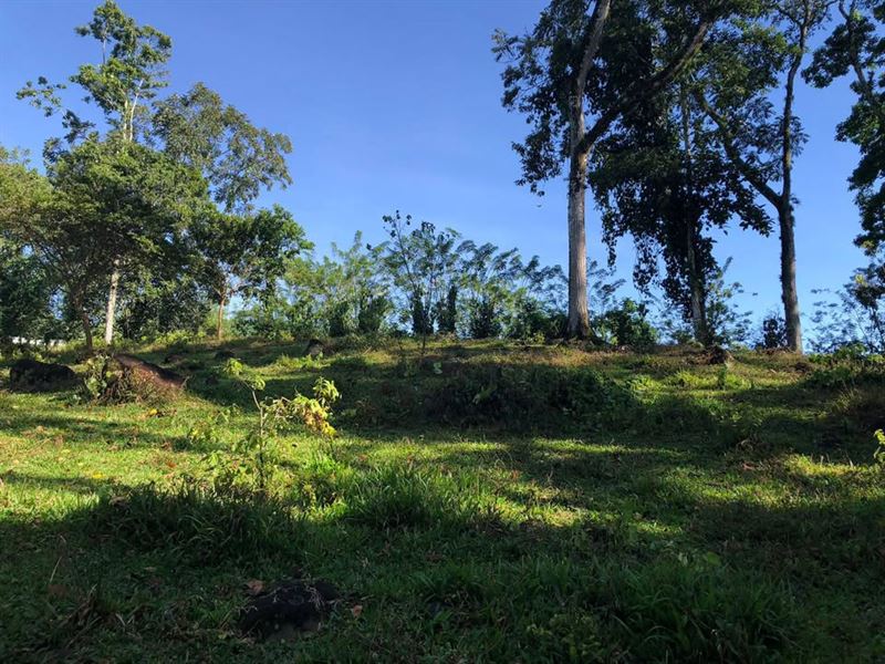 Peralta Turrialba : Turrialba : Costa Rica